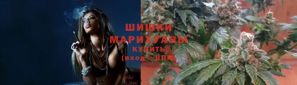 ПСИЛОЦИБИНОВЫЕ ГРИБЫ Краснотурьинск