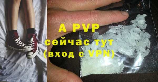 ПСИЛОЦИБИНОВЫЕ ГРИБЫ Краснотурьинск