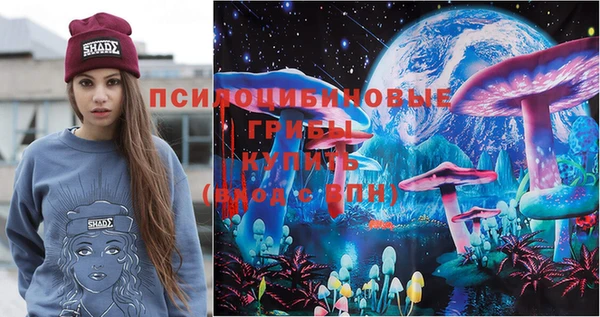 ПСИЛОЦИБИНОВЫЕ ГРИБЫ Краснотурьинск