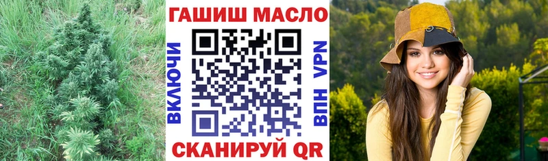 Купить где  Голицыно  Дистиллят ТГК концентрат 