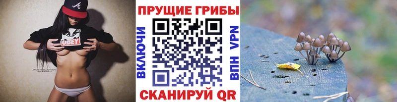 Купить закладки  Голицыно  Псилоцибиновые грибы ЛСД 